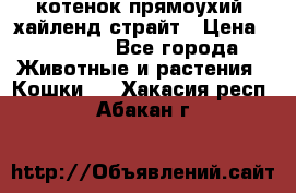 котенок прямоухий  хайленд страйт › Цена ­ 10 000 - Все города Животные и растения » Кошки   . Хакасия респ.,Абакан г.